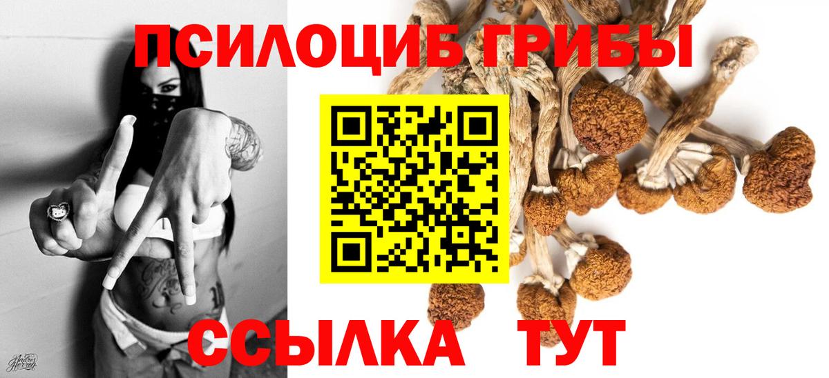 Псилоцибиновые грибы Psilocybine cubensis  Вход с VPN  Чебоксары 